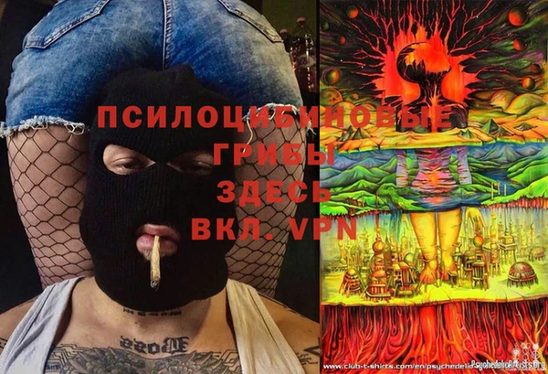 МДПВ Абдулино