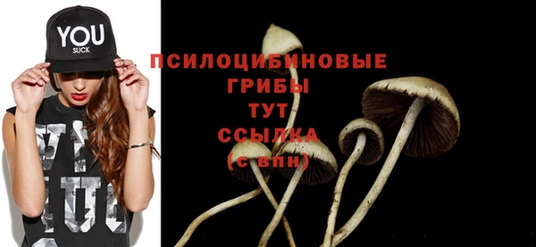 метадон Пересвет